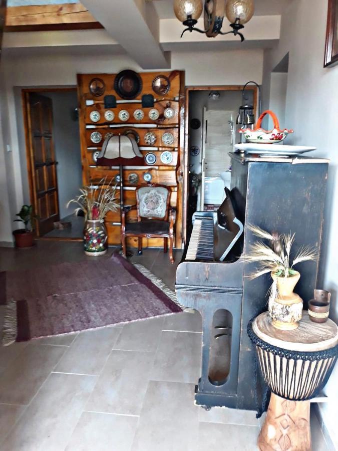 La Curtea Veche Διαμέρισμα Lapus Εξωτερικό φωτογραφία