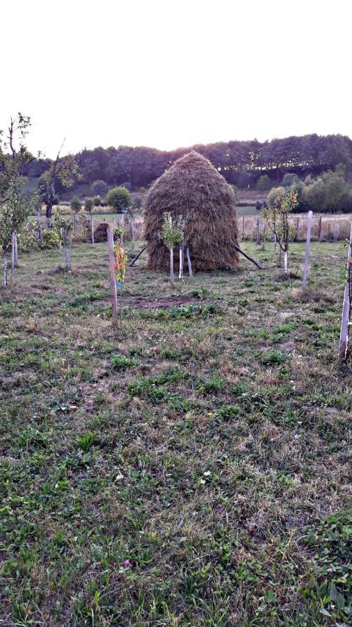 La Curtea Veche Διαμέρισμα Lapus Εξωτερικό φωτογραφία