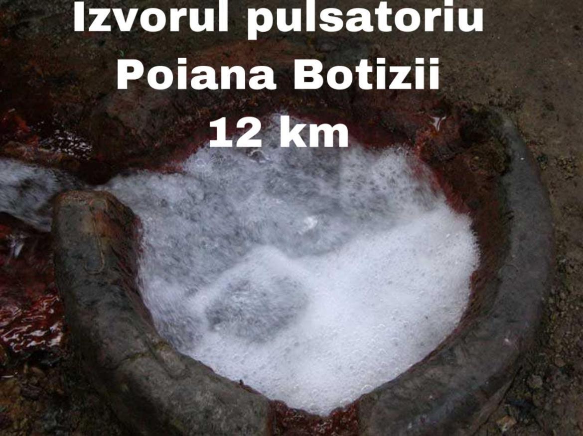 La Curtea Veche Διαμέρισμα Lapus Εξωτερικό φωτογραφία
