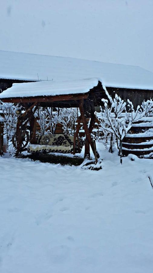 La Curtea Veche Διαμέρισμα Lapus Εξωτερικό φωτογραφία